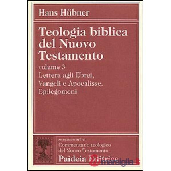 Teologia biblica del Nuovo Testamento. Vol. 3: Lettera agli ebrei, vangeli e Apocalisse. Epilegomeni