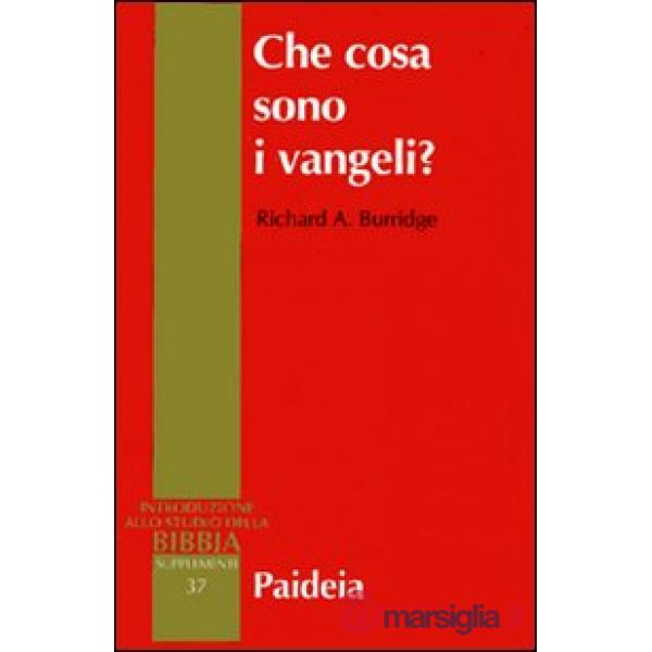 Che cosa sono i vangeli?