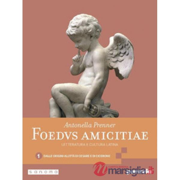 FOEDUS AMICITIAE 1