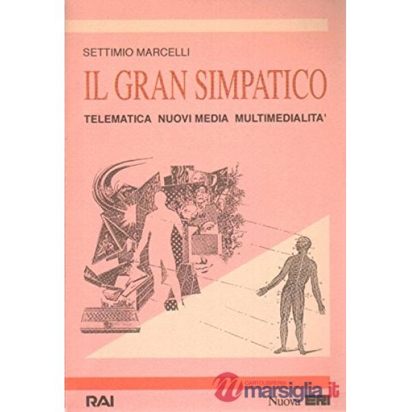 Gran simpatico. Telematica, nuovi media, multimedialità (Il)