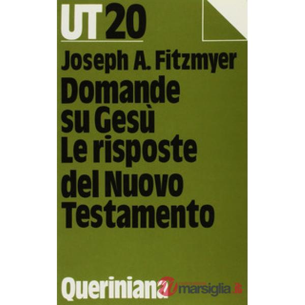 Domande su Gesù. Le risposte del Nuovo Testamento