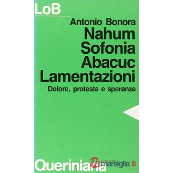 Nahum, Sofonia, Abacuc, Lamentazioni. Dolore, protesta e speranza