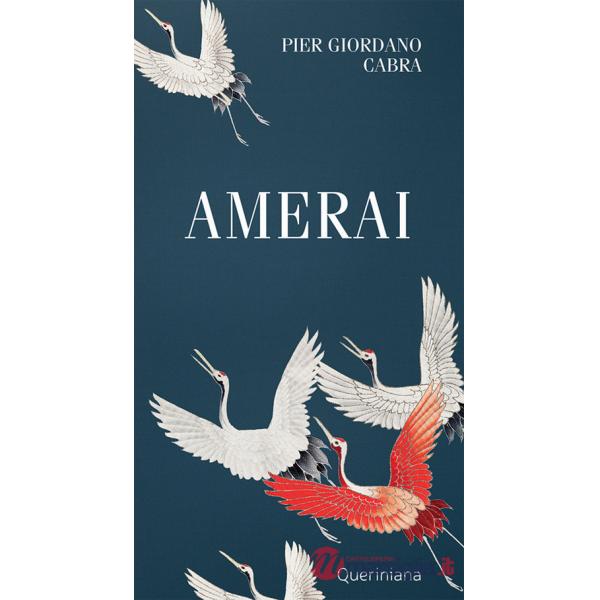 Amerai. Riflessioni sull'amor di Dio nella vita di ogni giorno