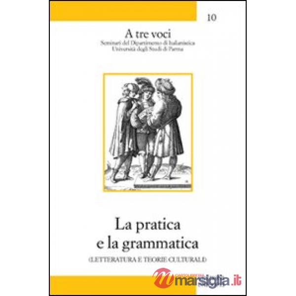 Pratica e la grammatica. Letteratura e teorie culturali (La)