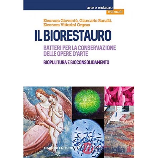 Biorestauro. Batteri per la conservazione delle opere d'arte. Biopulitura e bioconsolidamento (Il)