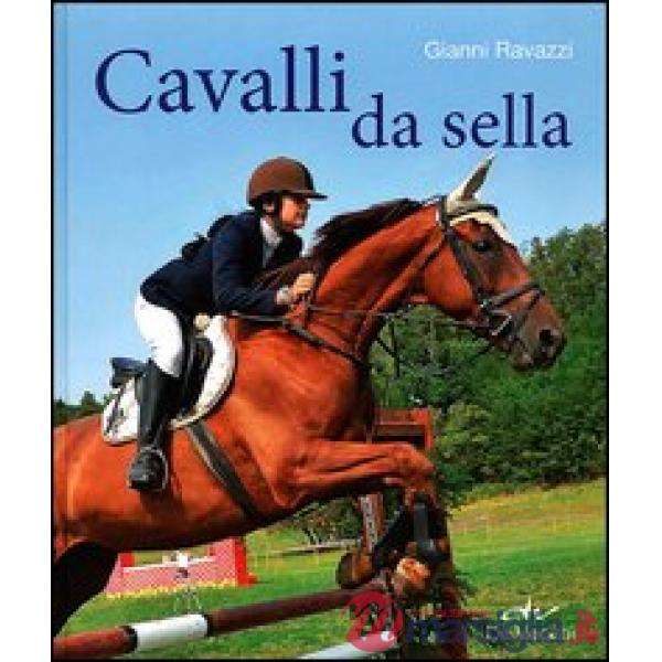 Cavalli da sella