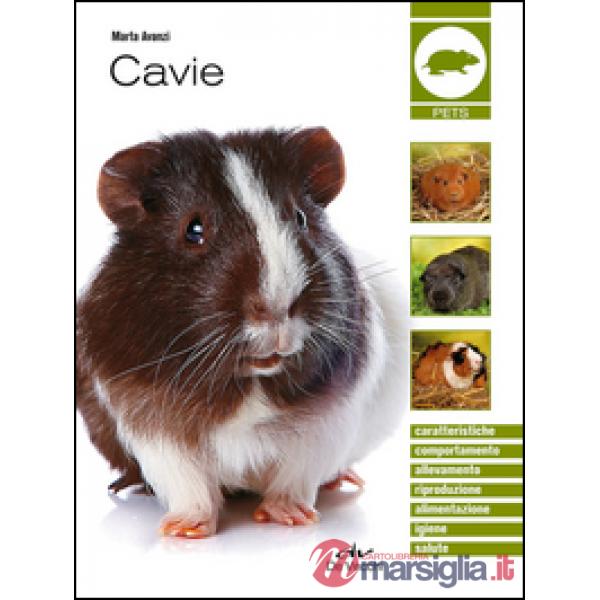 Cavie