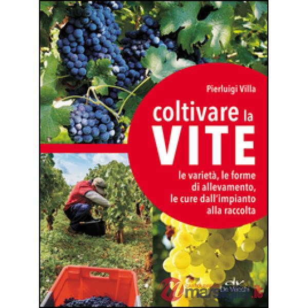 Coltivare la vite. Le varietà, le forme di allevamento, le cure dall'impianto alla raccolta