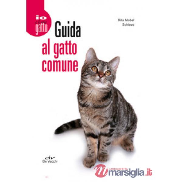 Guida al gatto comune