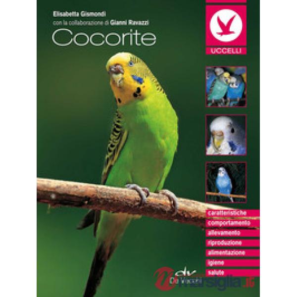 Cocorite (Le)