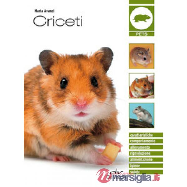 Criceti
