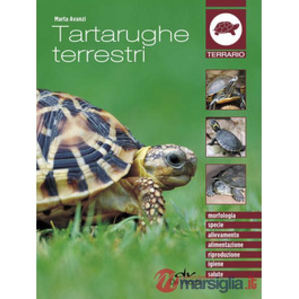Tartarughe terrestri