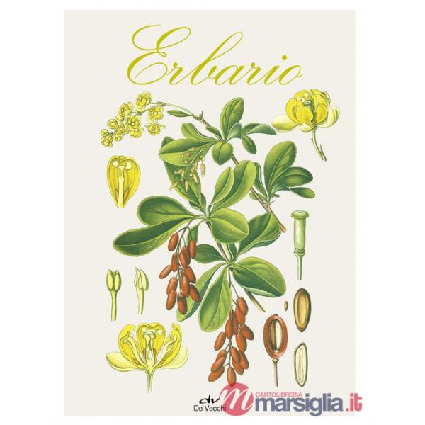 Erbario. Ediz. a colori