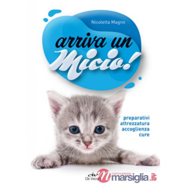 Arriva un micio! Preparativi, attrezzatura, accoglienza, cure