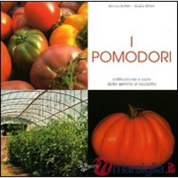 Pomodori. Coltivazione e cure dalla semina al raccolto (I)