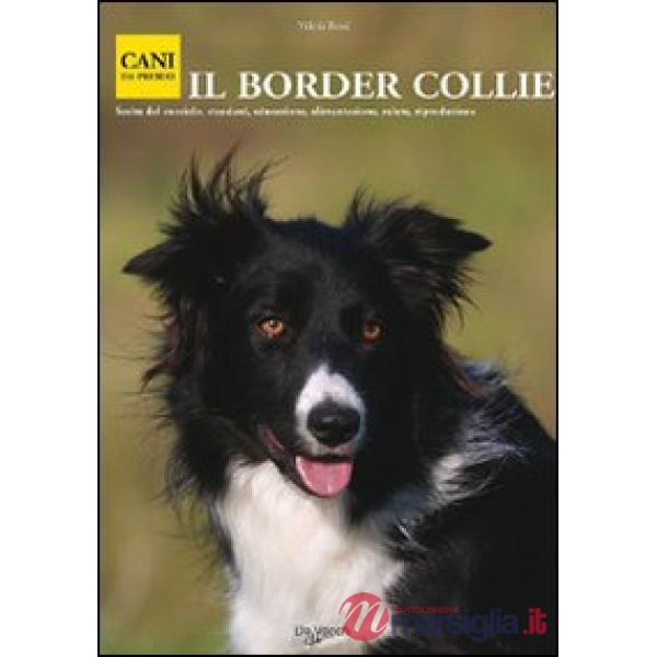 Border collie (Il)