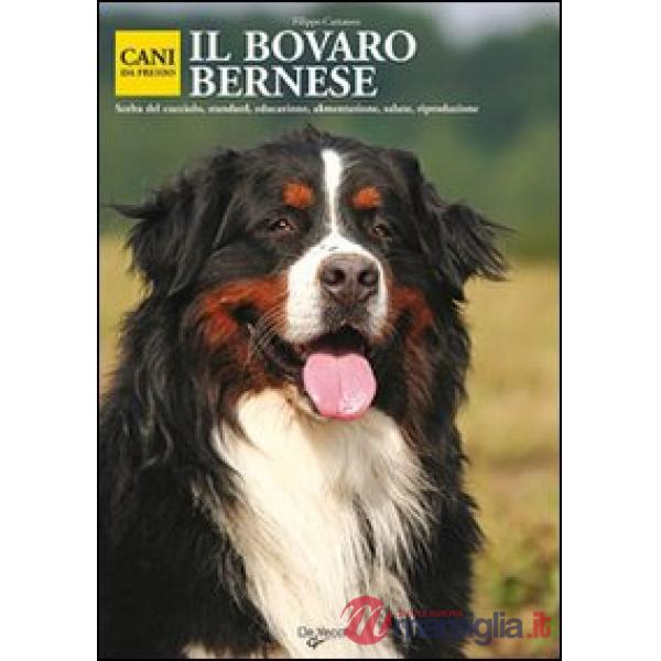Bovaro bernese (Il)