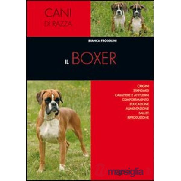 Boxer (Il)