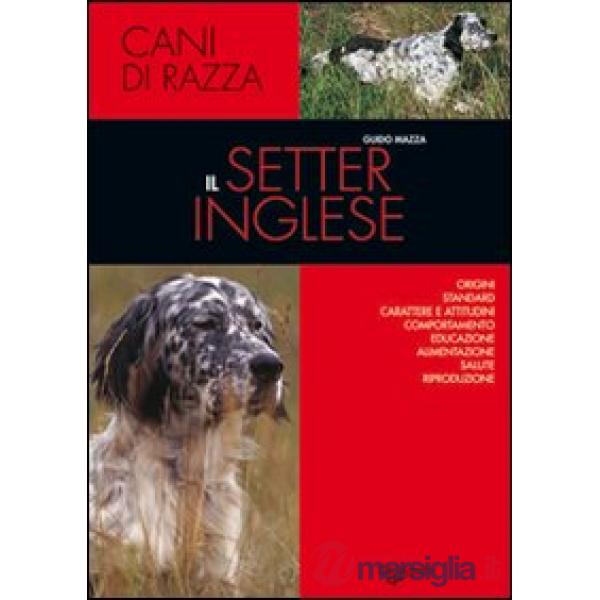 Setter inglese (Il)