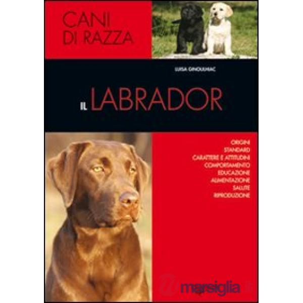 Labrador (Il)