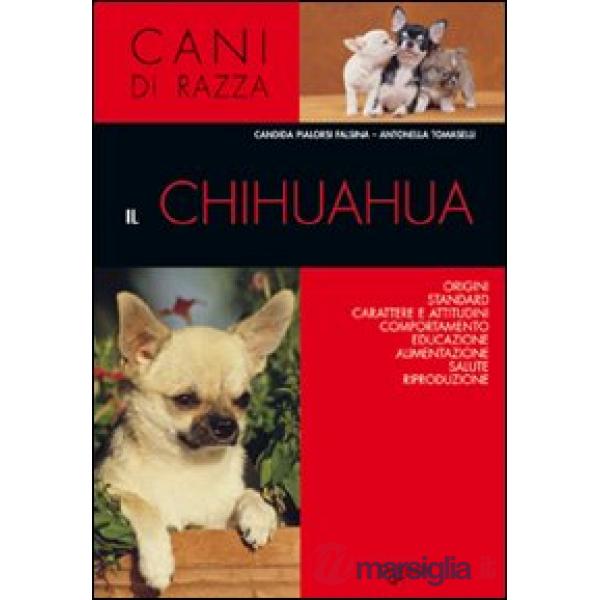 Chihuahua (Il)
