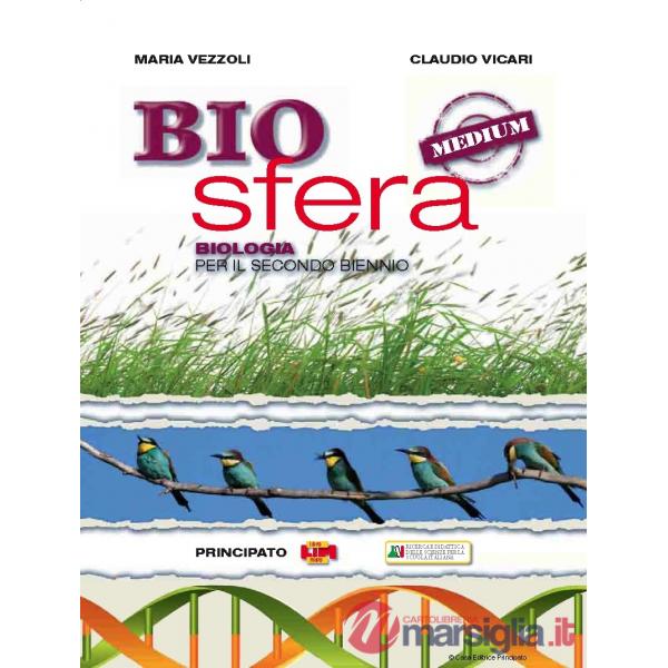 BIOSFERA MEDIUM