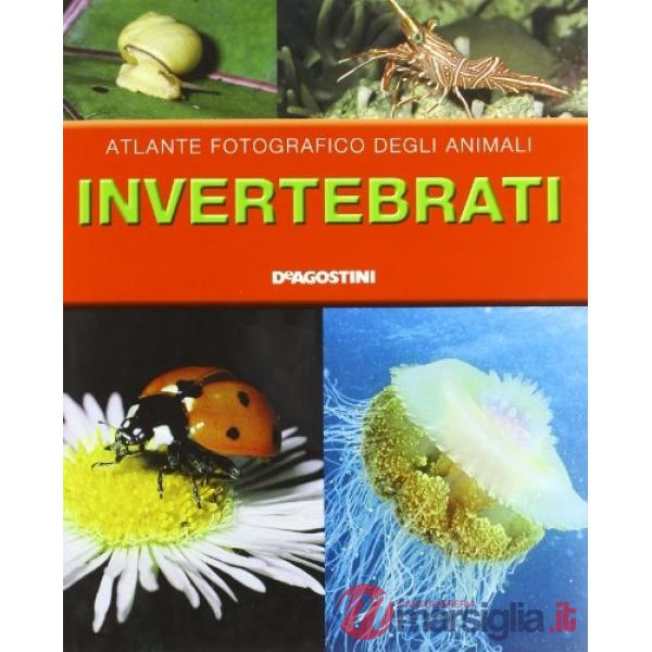 Invertebrati