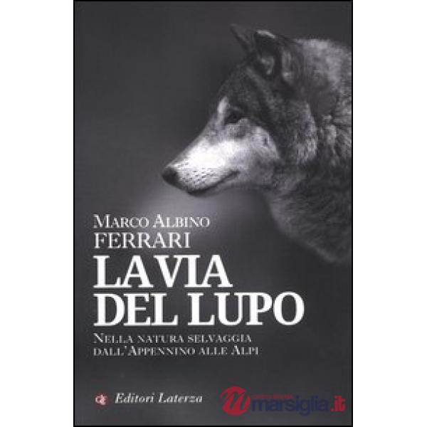 Via del lupo. Nella natura selvaggia dall'Appennino alle Alpi (La)