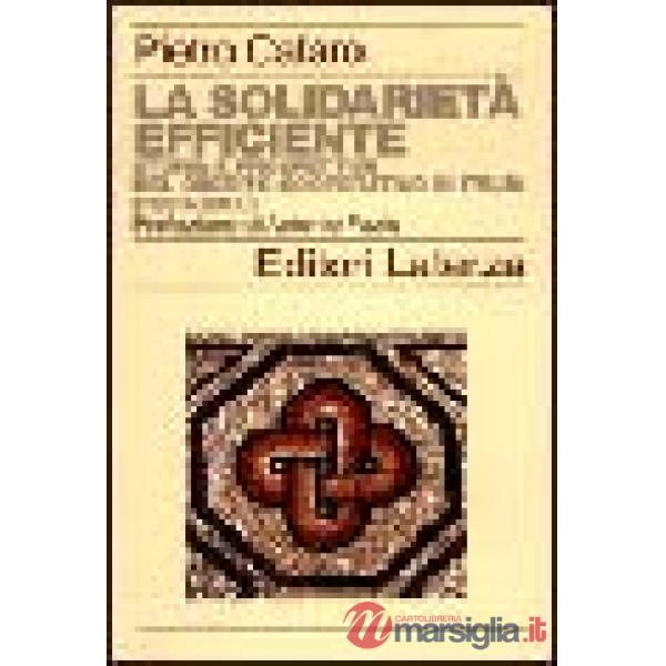 Solidarietà efficiente. Storia e prospettive del credito cooperativo in Italia (