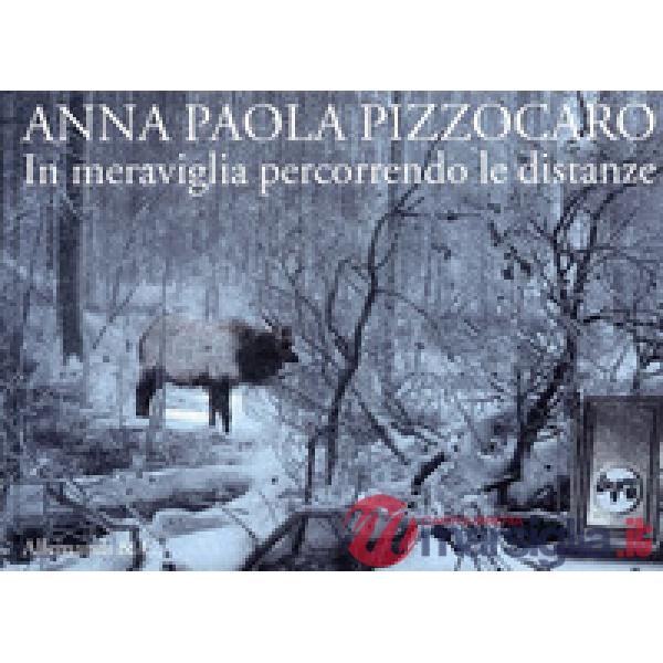 Anna Paola Pizzocaro. In meraviglia percorrendo le distanze. Ediz. italiana e inglese