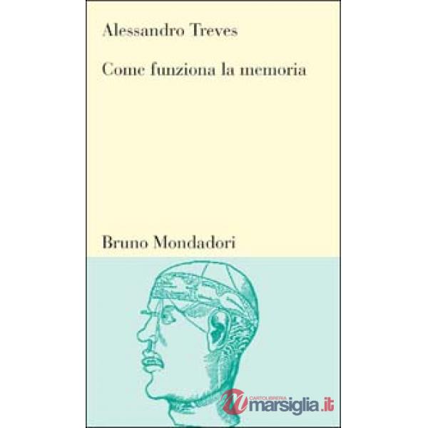 Come funziona la memoria. Le basi neurali della capacità di ricordare