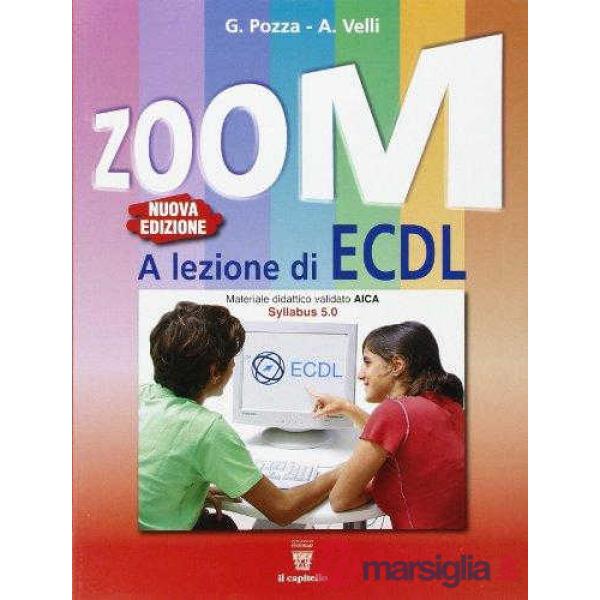 ZOOM