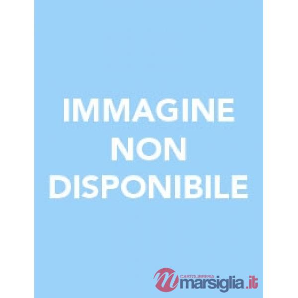 MATEMATICA PER TEMI TEMA Q LIBRO DIGITALE