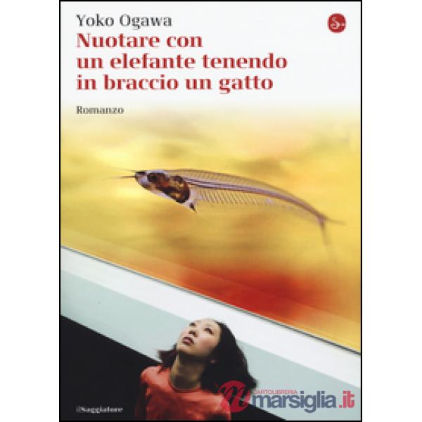 Nuotare con un elefante tenendo in braccio un gatto