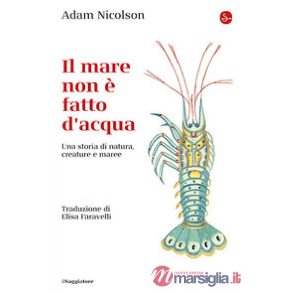 Mare non è fatto d'acqua. Una storia di natura, creature e maree (Il)
