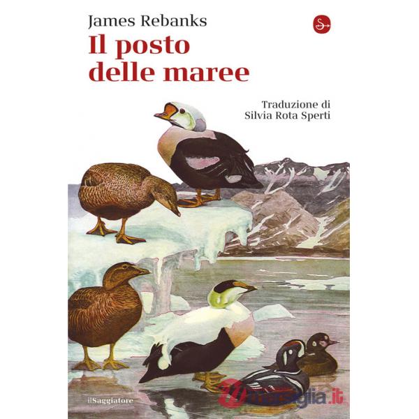 Posto delle maree (Il)