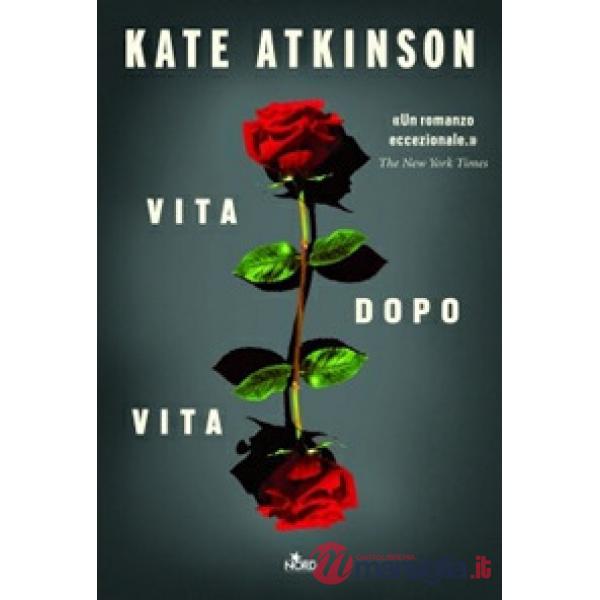Vita dopo vita