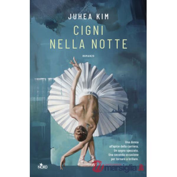 Cigni nella notte