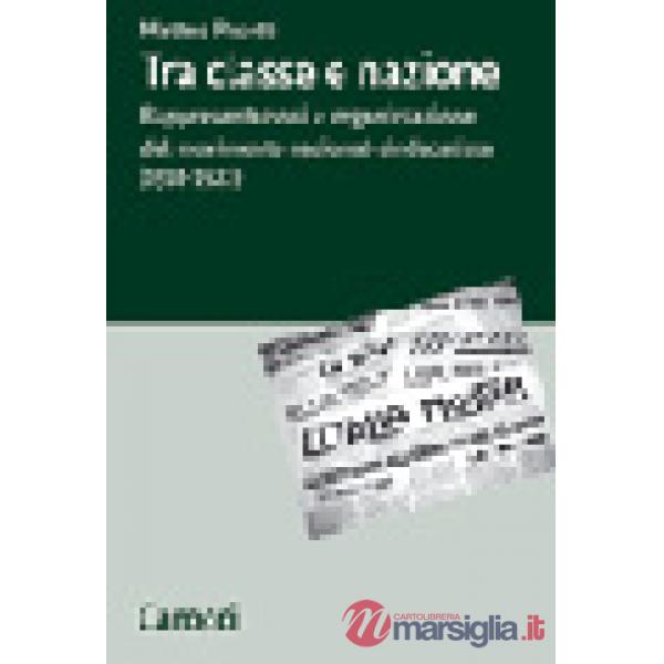 Tra classe e nazione. Rappresentazioni e organizzazione del movimento nazional-socialista (1918-1922)