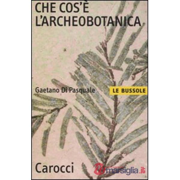 Che cos'è l'archeobotanica