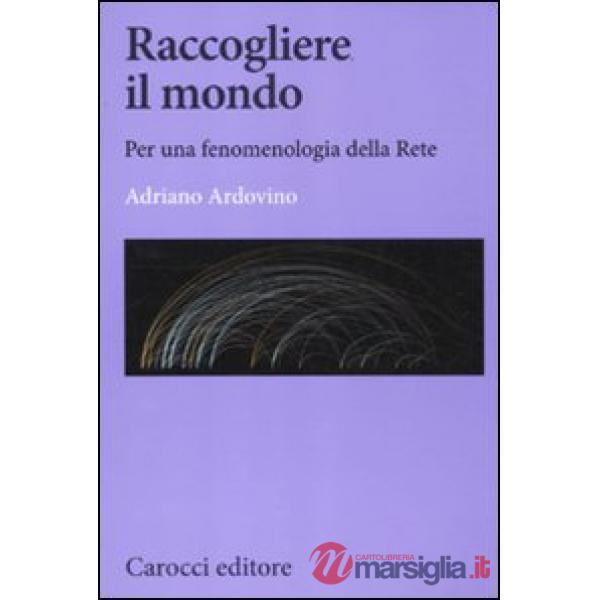 Raccogliere il mondo. Per una fenomenologia della rete