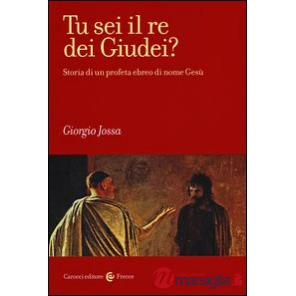 Tu sei il re dei Giudei? Storia di un profeta ebreo di nome Gesù