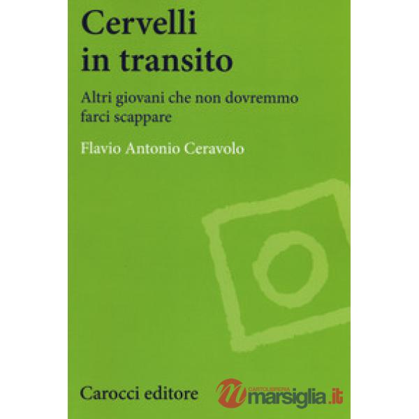 Cervelli in transito. Altri giovani che non dovranno farci scappare