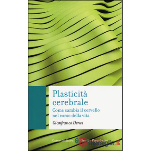 Plasticità cerebrale. Come cambia il cervello nel corso della vita