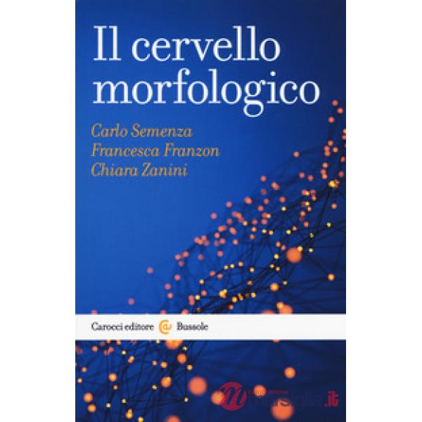Cervello morfologico (Il)