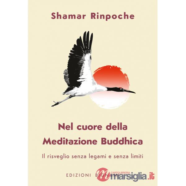 Nel cuore della meditazione buddhica. Il risveglio senza legami e senza limiti