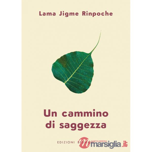 Cammino di saggezza (Un)