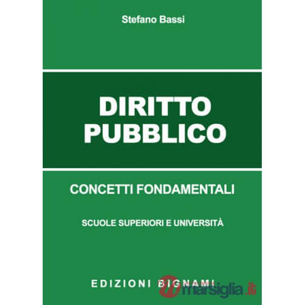 Diritto pubblico. Concetti fondamentali