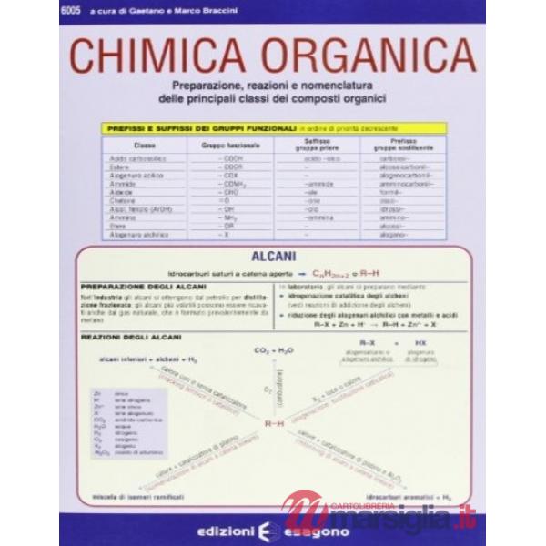 Chimica organica. Preparazione, reazioni e nomenclatura delle principali classi dei composti organici. Per le Scuole superiori