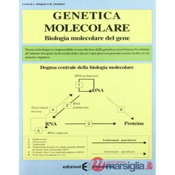 Genetica molecolare. Biologia molecolare del gene